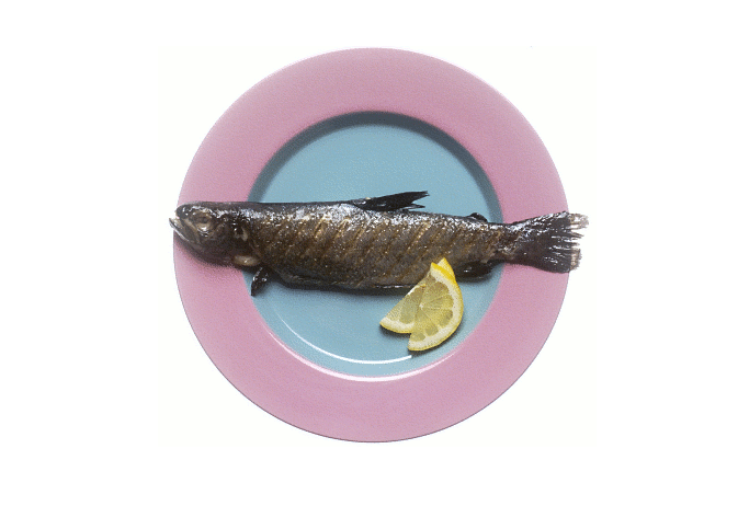 Jedlá z rýb